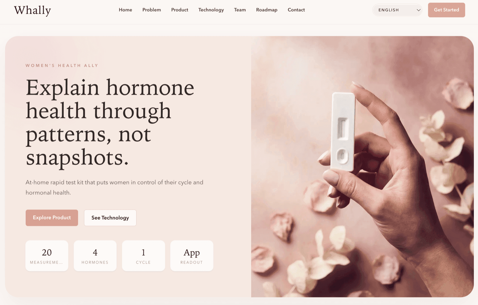 HexTG – Kurumsal Web Sitesi